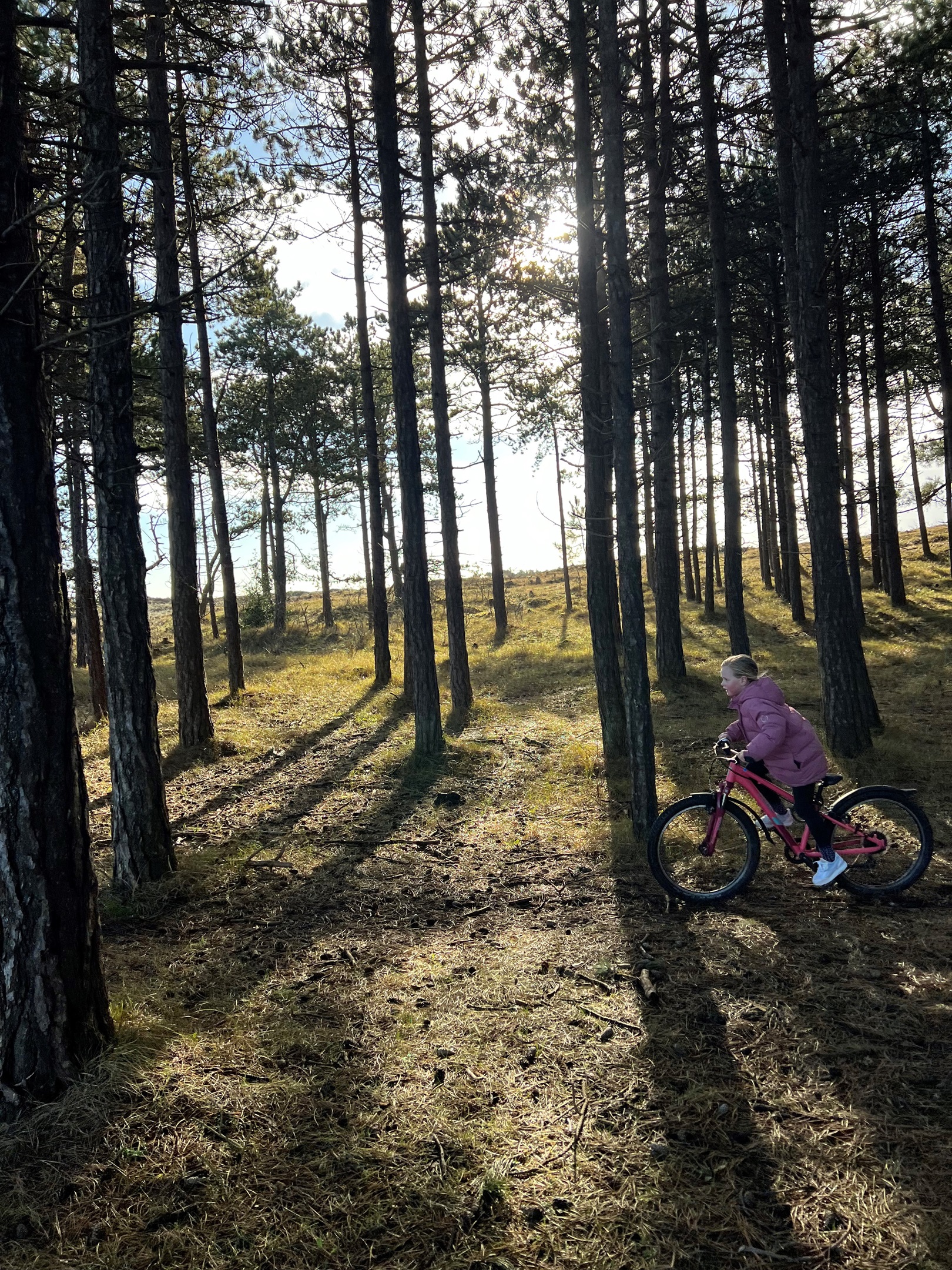 Ontdek Terschelling en Vlieland_8