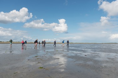 Wadlopen en oesters proeven