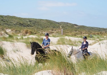 Paardrijden op Vlieland