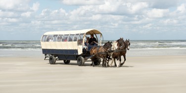 Maak een huifkartocht