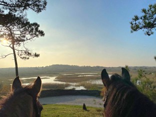 Geniet van de mooie natuur van Vlieland