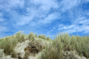 Privacy- & Cookiebeleid