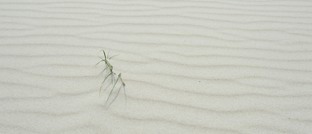 Geniet van een aangenaam verblijf op Vlieland