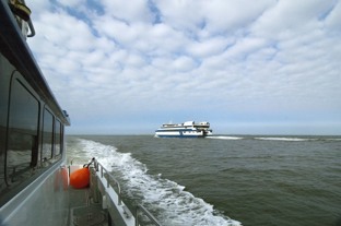Waddentaxi Zeehond