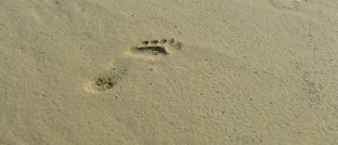 Goedkoper reizen naar Terschelling en Vlieland