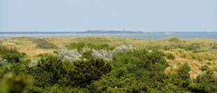 Concessie Waddenveren West