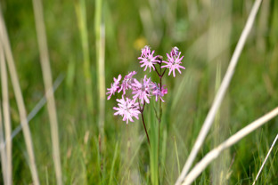 De beste kwaliteit en service voor onze gasten
