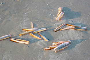 Geniet van uw vakantie op Terschelling
