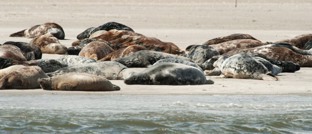 Go for a long weekend to the Islands