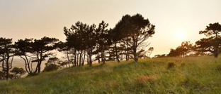 Vervallen of gewijzigde  afvaarten