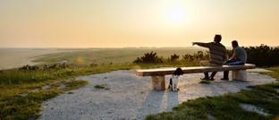Nehmen Sie Ihren Hund zu den Inseln