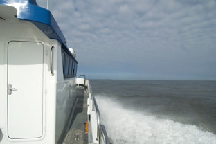Waddentaxi Zeehond