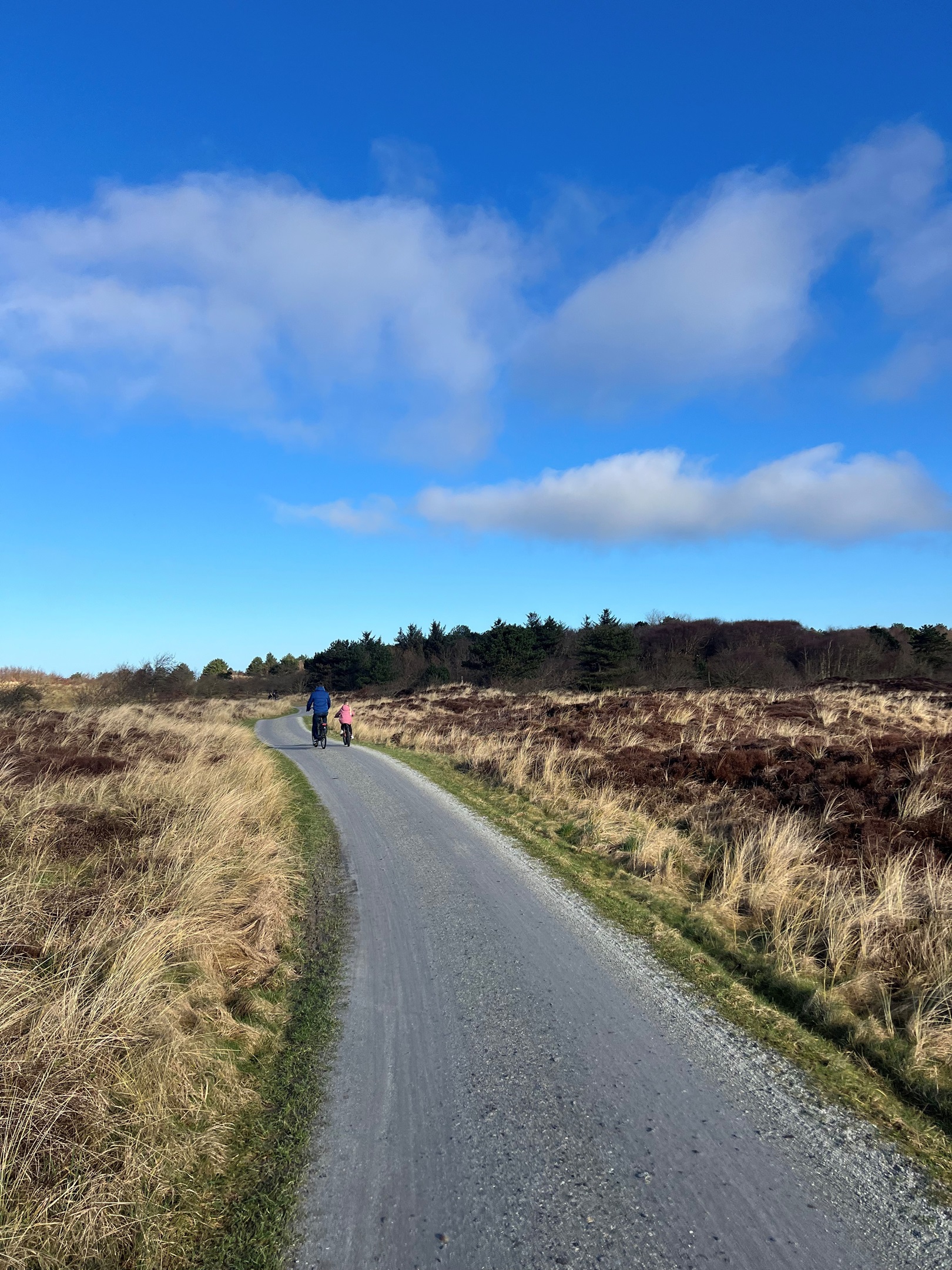 Ontdek Terschelling en Vlieland_15