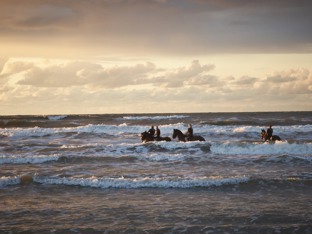 Draaf over het eiland en geniet van Terschelling