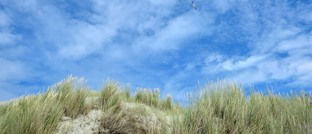 Gewijzigde afvaarten