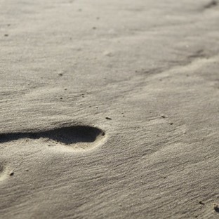 Footer