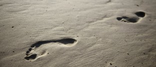 Footer