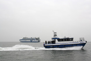 Waddentaxi Zeehond