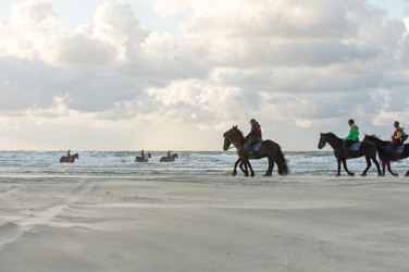 Puur dagje paardrijden op Terschelling