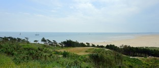 Bedankt voor uw reactie