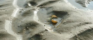 Wijzigen en annuleren